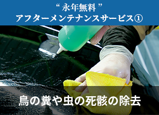 無料アフターケアサービス①鳥の糞や虫の死骸の除去